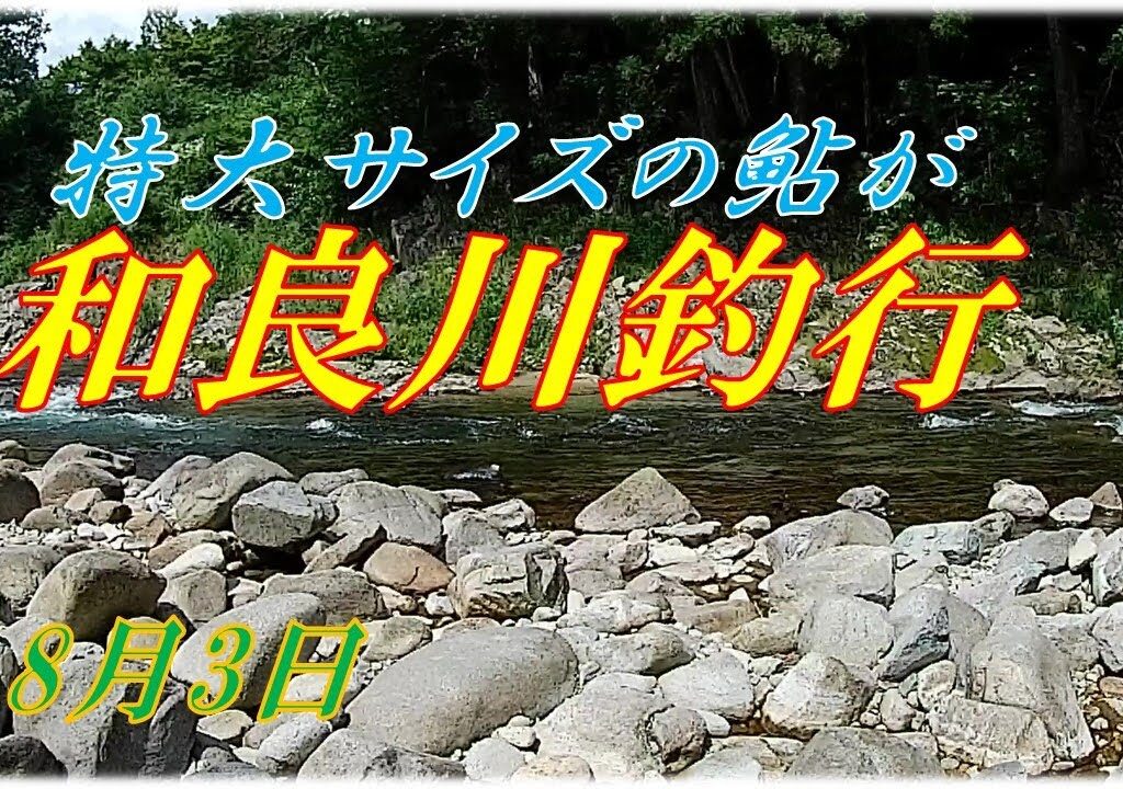 大物ばかり和良川釣行(8月3日）渇水で数は釣れませんでしたが型が良い