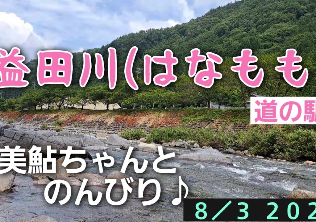 益田川(はなもも)　鮎釣り　美鮎ちゃんとのんびり♪8/3 2023