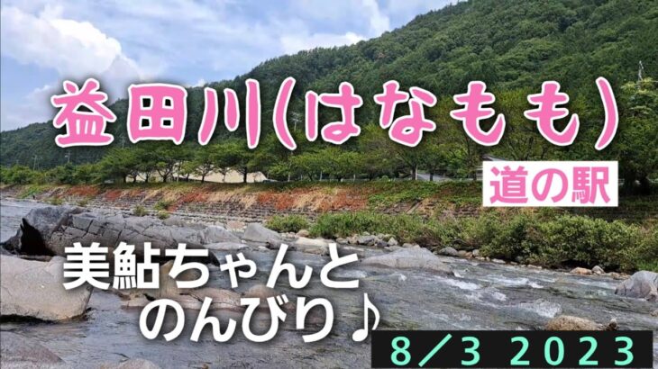 益田川(はなもも)　鮎釣り　美鮎ちゃんとのんびり♪8/3 2023