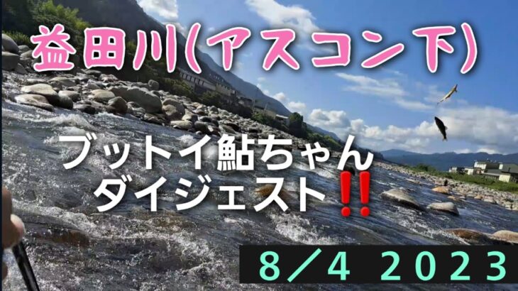 益田川(アスコン下)　鮎釣り　ブットイ鮎ちゃんダイジェスト‼️8/4  2023