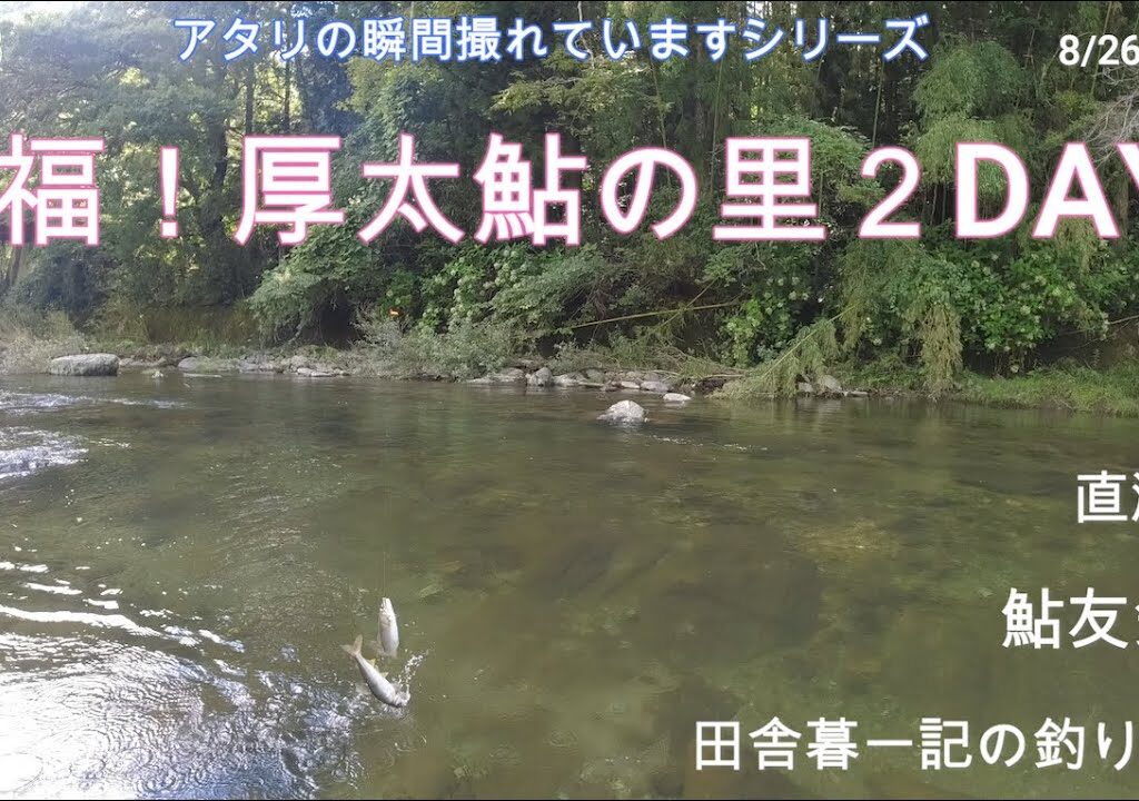 至福！厚太鮎の里２DAYS/ 田舎暮一記の釣り日記