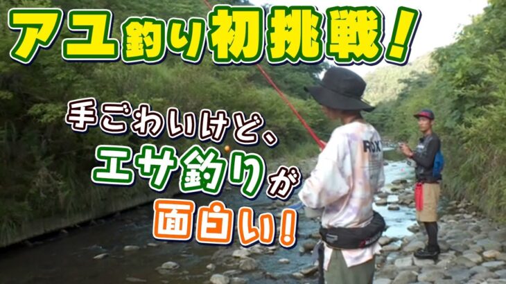 GO!GO!九ちゃんフィッシング #540　「手軽で簡単！アユのエサ釣り（前篇） 名人と絶品の天然物に挑戦」