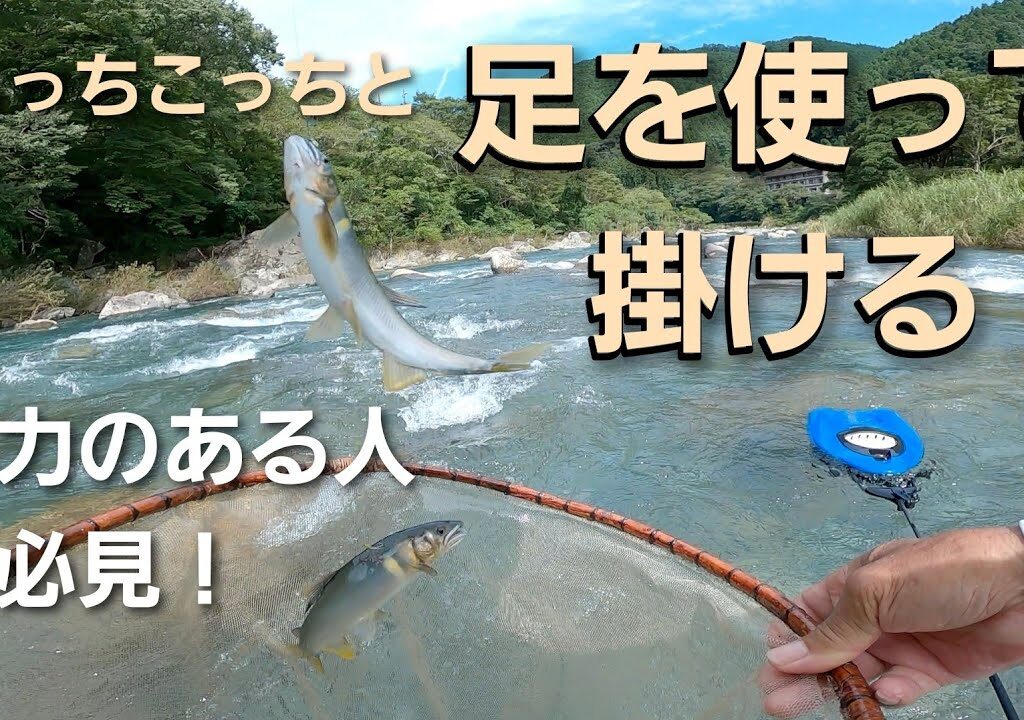NO59 残り垢を求めて釣り歩く　増水後の鮎釣り【鮎の友釣り】