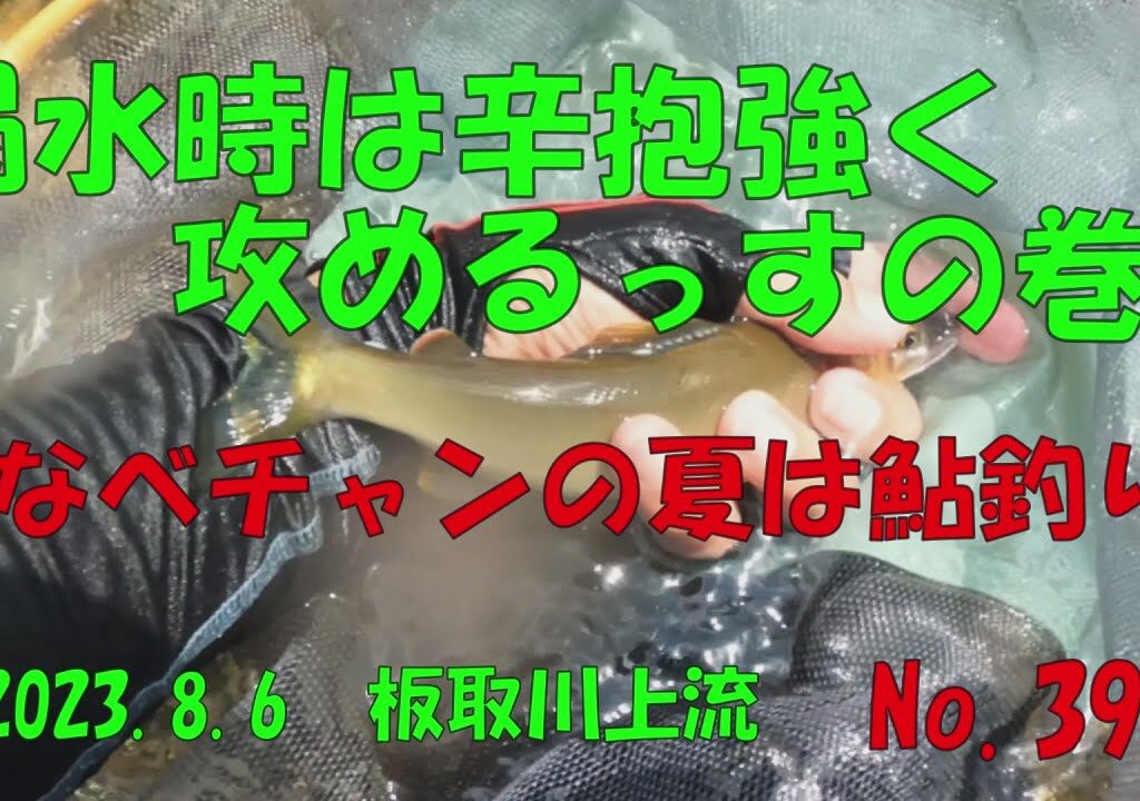 【鮎釣り】渇水時のチャラは辛抱強く攻めるっすの巻‼　なべチャンの夏は鮎釣り　No.39　板取川上流　2023 8 6