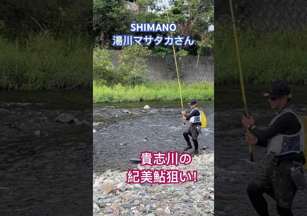 SHIMANO湯川マサタカさん今季初の貴志川鮎釣り！