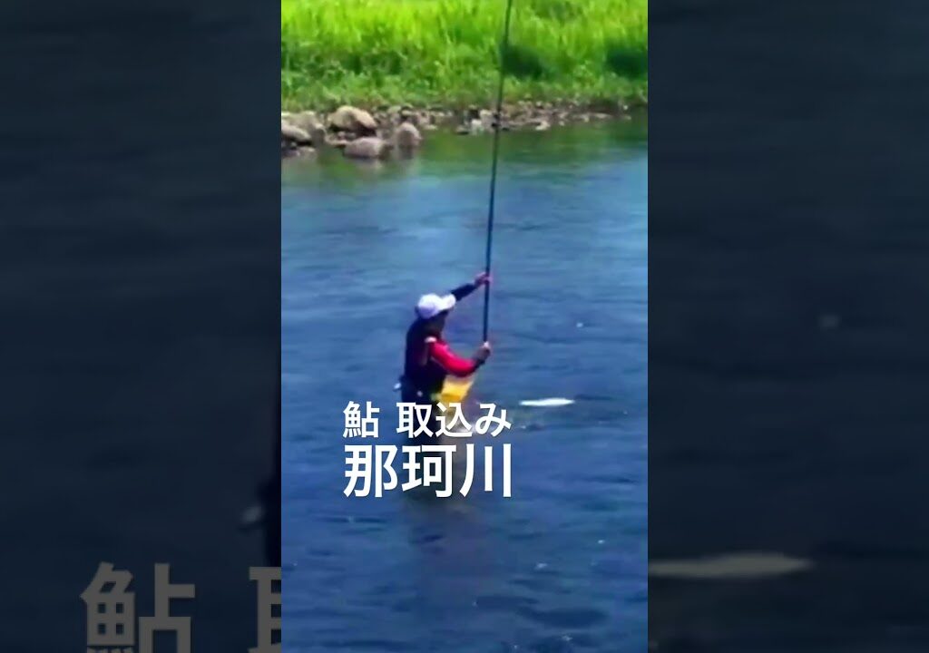 【鮎釣り】那珂川 #鮎釣り #fishing #那珂川 #釣り #箒川 #鬼怒川
