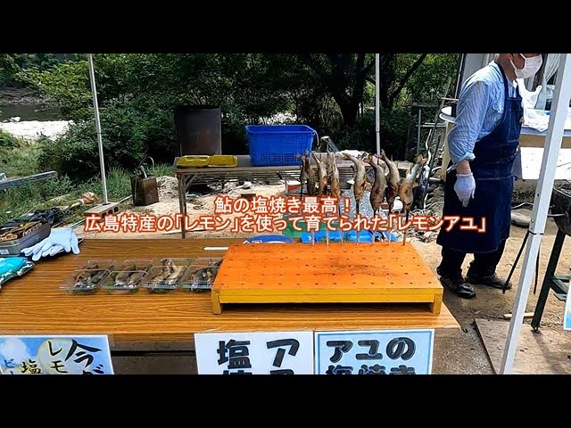 鮎の塩焼き最高！広島特産の「レモンアユ」の即売会に行って来たぞ　#fishing #鮎釣り #鮎の塩焼き #fishinglife #釣り