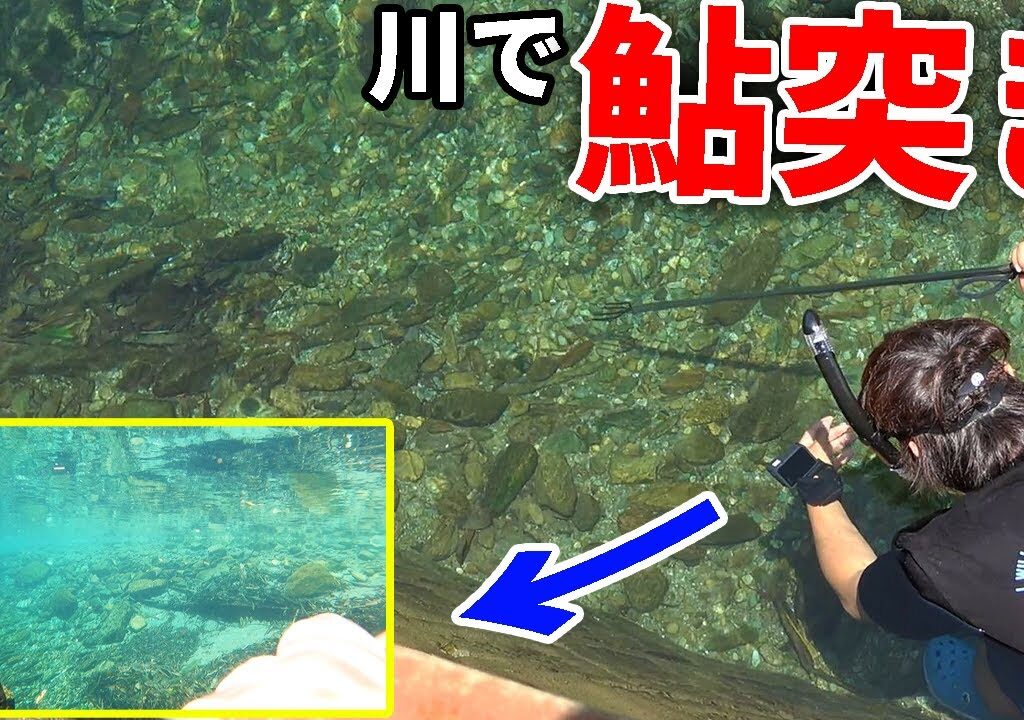 鮎が大量にいる川で魚突き！！