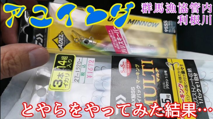 【群馬漁協管内　利根川】◎オカッパリアユイング　キャスティングアユ/鮎ルアー/友釣り