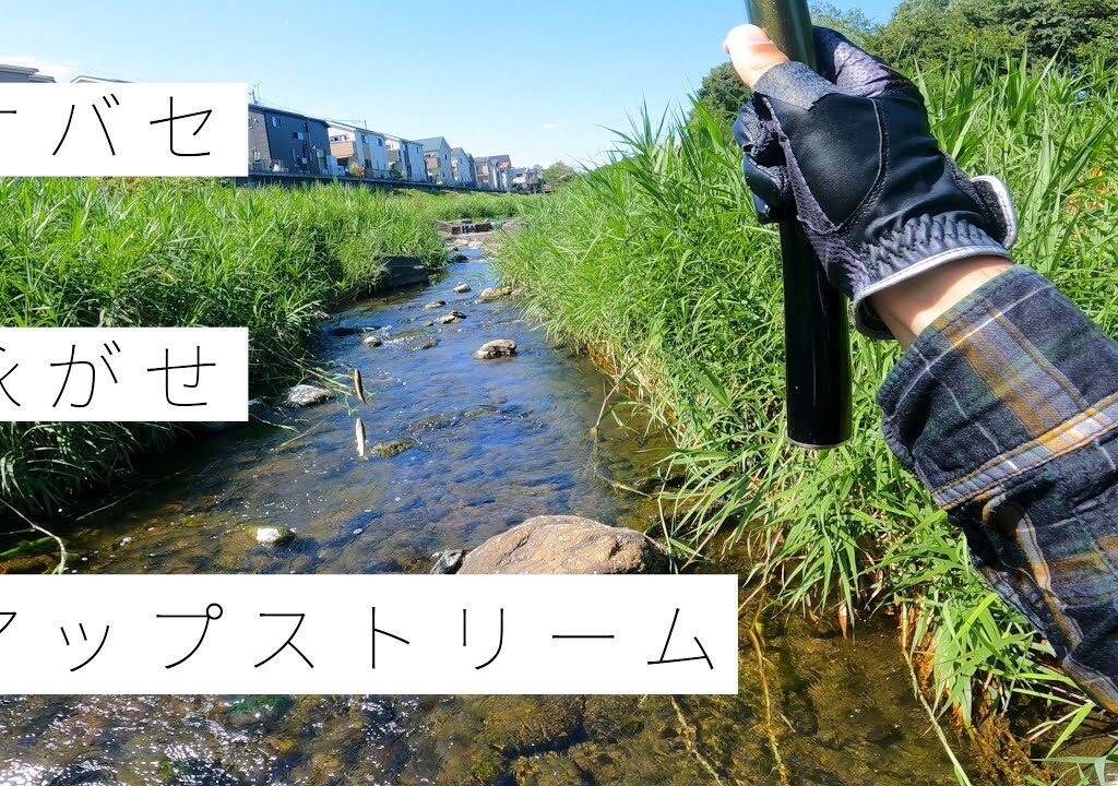 荒瀬用の竿で泳がせ釣り【あゆ釣り】