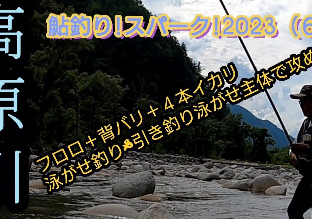高原川。フロロ＋背バリ。泳がせ&引き釣り泳がせ!で攻める!鮎釣りスパーク!（６）