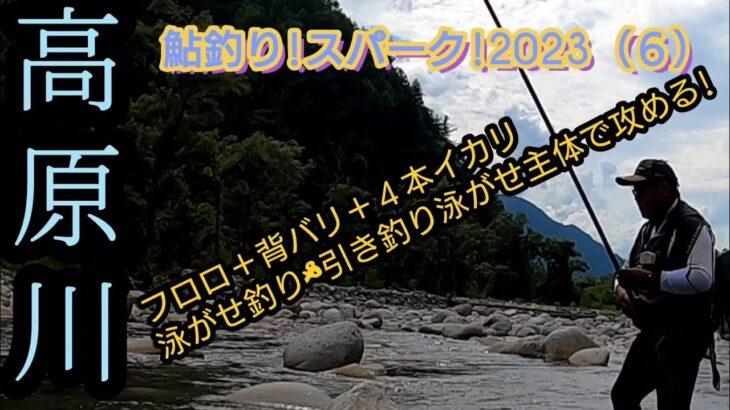 高原川。フロロ＋背バリ。泳がせ&引き釣り泳がせ!で攻める!鮎釣りスパーク!（６）