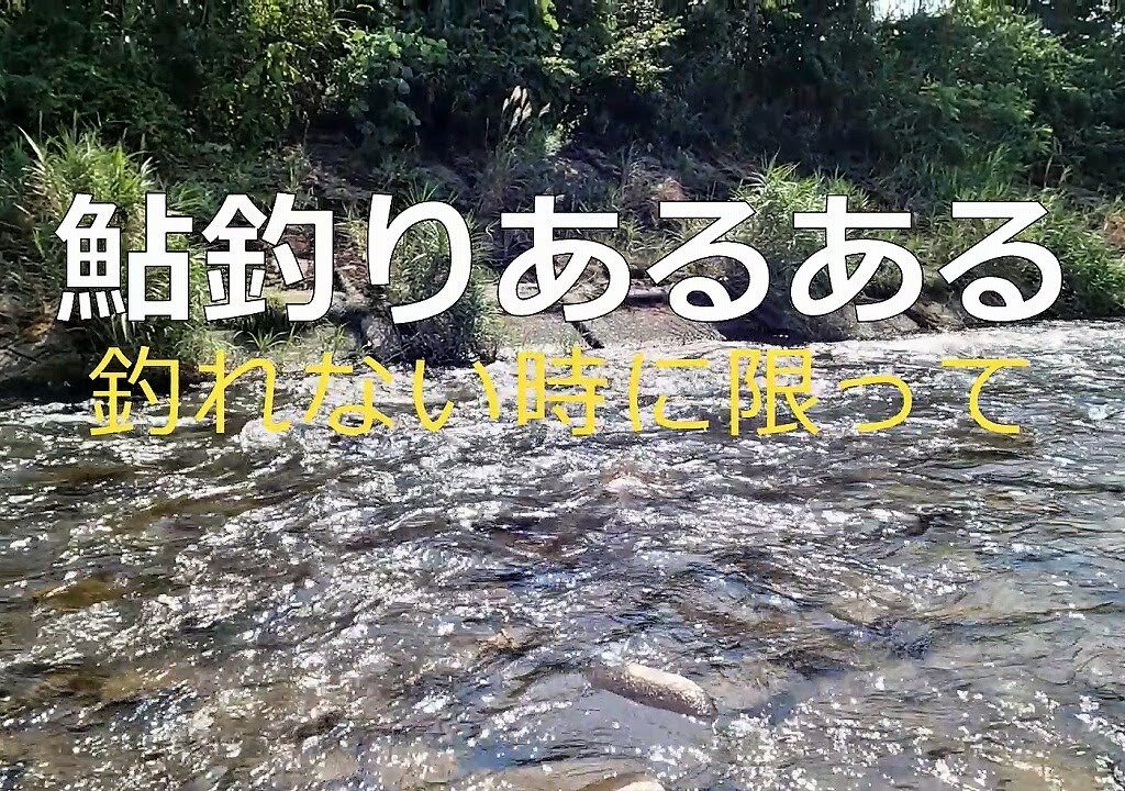 鮎釣りあるある（釣れない時に限って)