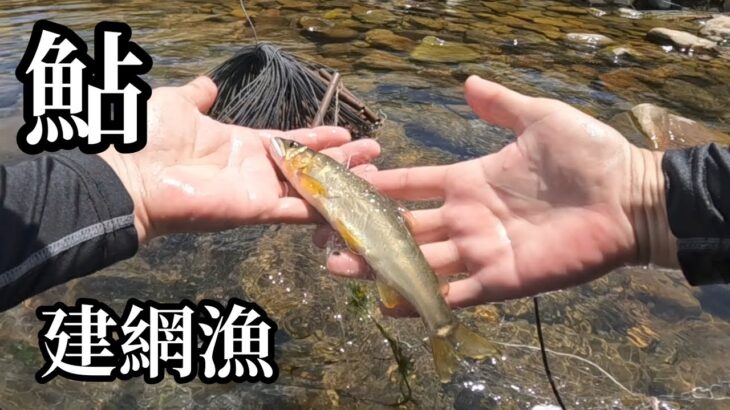 鮎の網漁が解禁したので遊んできた