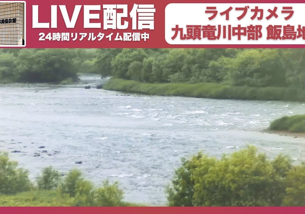 飯島｜九頭竜川中部ライブ映像｜九頭竜川中部漁業協同組合