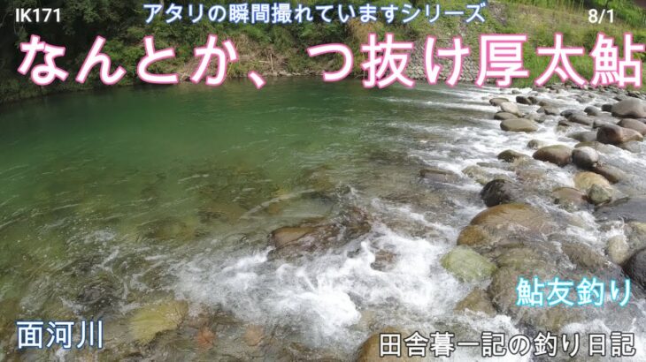 なんとか！つ抜け厚太鮎！！/ 田舎暮一記の釣り日記