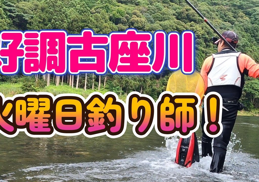 【鮎釣り】二日続けて頑張る！今日も釣れるかな？