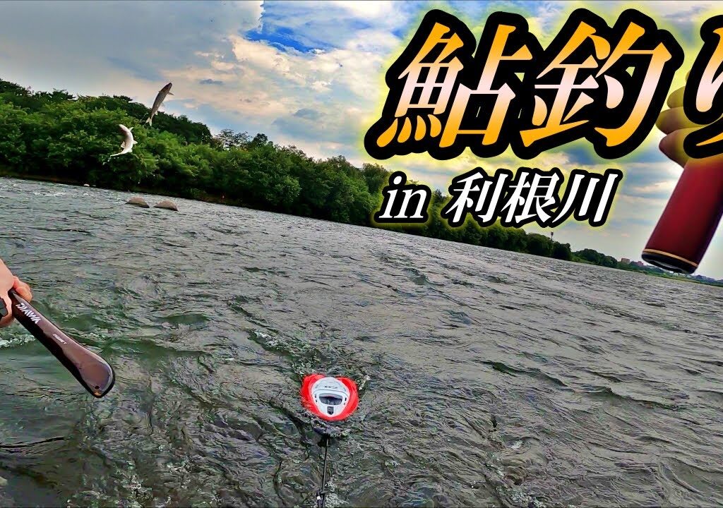 利根川で素人が鮎釣りした結果…？