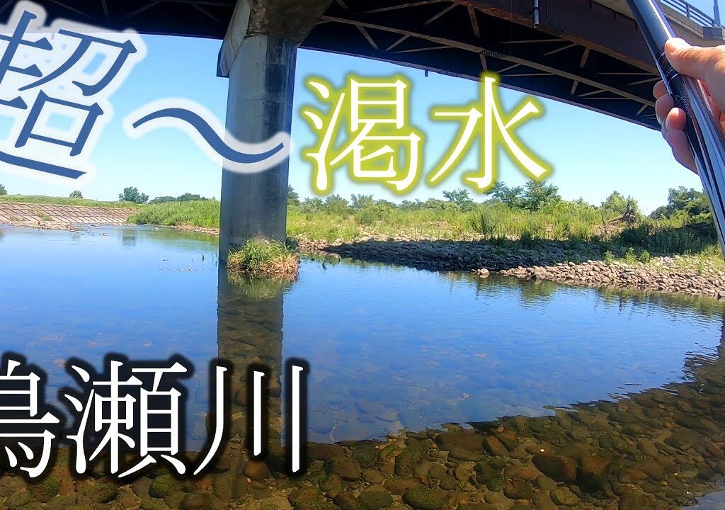 【鮎釣り】超～渇水の鳴瀬川で追わない鮎釣り練習
