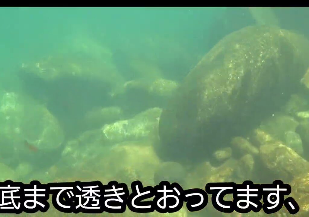 爺　鮎釣り　岐阜遠征３日目　高原川