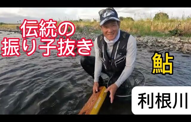 大鮎が宙を舞う８月の利根川　伝統の振り子抜きの技がある