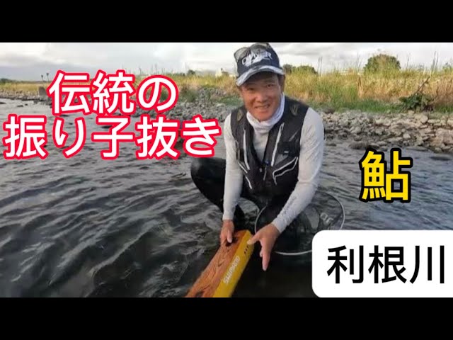 大鮎が宙を舞う８月の利根川　伝統の振り子抜きの技がある