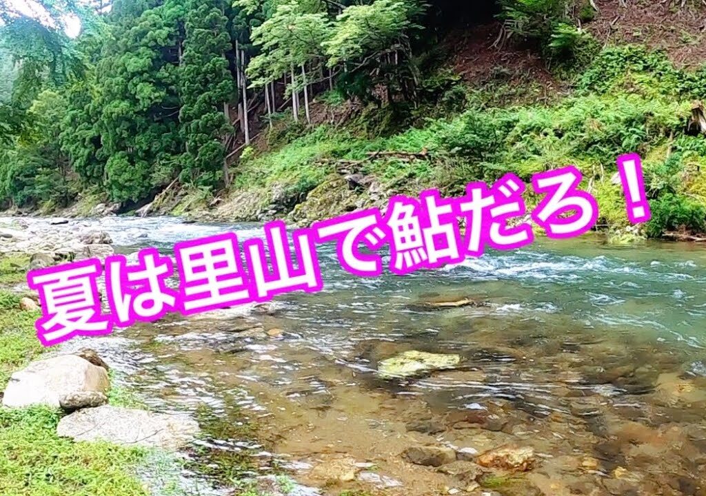 夏は猛暑の町中を避けて、のんびり渓流で鮎釣り！