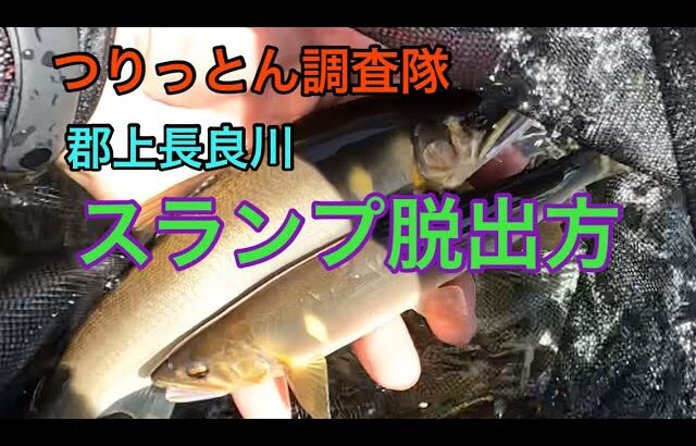 郡上長良川　釣れない時のスランプ脱出方