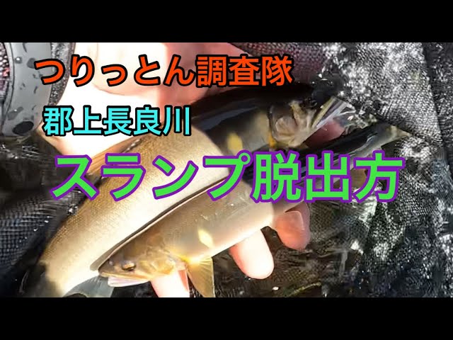 郡上長良川　釣れない時のスランプ脱出方