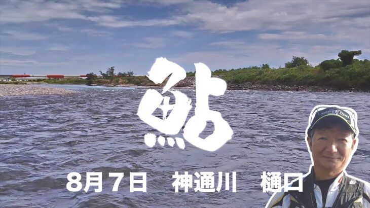 ８月７日　神通川　鮎