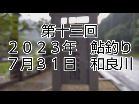第十三回　鮎釣り　２０２３年７月３１日　和良川