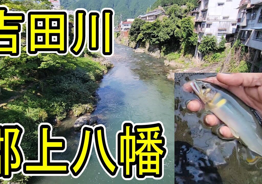 アユいっぱい！【郡上八幡の夏を満喫　癒されるわ～】吉田川町裏でのんびり～鮎釣り