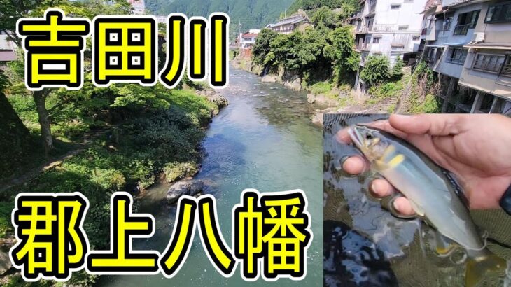 アユいっぱい！【郡上八幡の夏を満喫　癒されるわ～】吉田川町裏でのんびり～鮎釣り