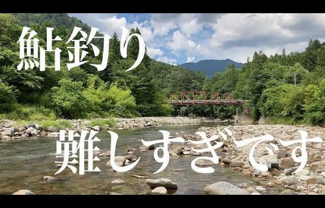 【鮎釣り】土用隠れの馬瀬川上流を釣る