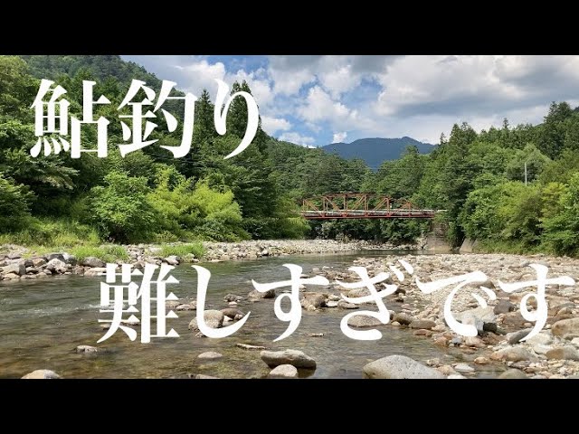 【鮎釣り】土用隠れの馬瀬川上流を釣る
