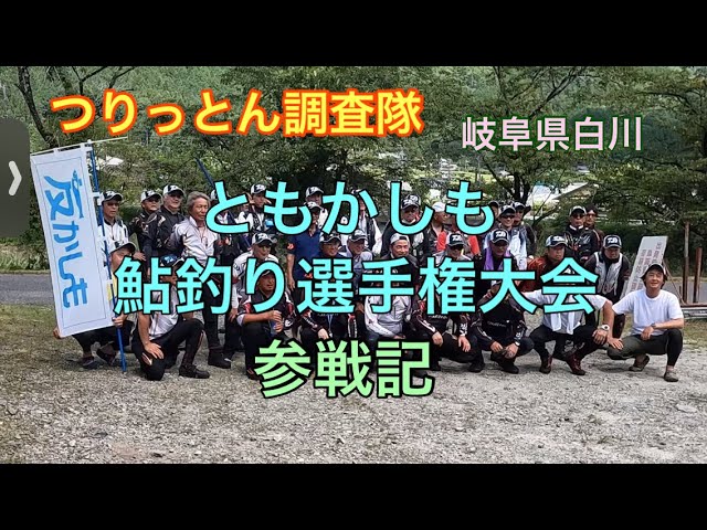 岐阜県白川　ともかしも鮎釣り選手権大会　参戦記