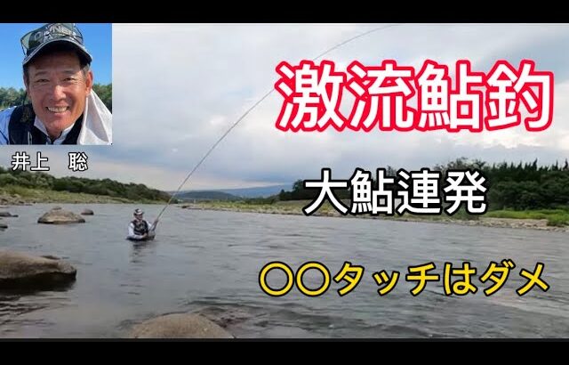 激流鮎釣りで大変なことが　やっぱり〇〇タッチはダメだ