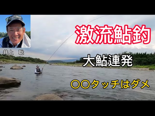 激流鮎釣りで大変なことが　やっぱり〇〇タッチはダメだ