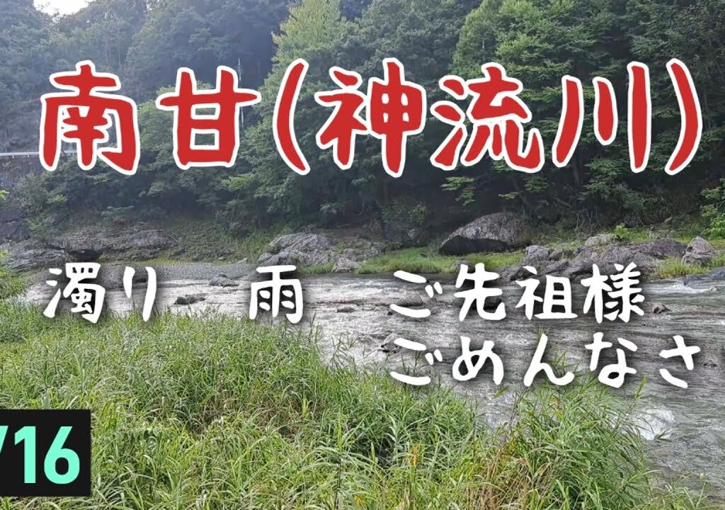 南甘(神流川)　鮎釣り　濁り　雨　ご先祖様ごめんなさい