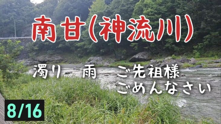 南甘(神流川)　鮎釣り　濁り　雨　ご先祖様ごめんなさい