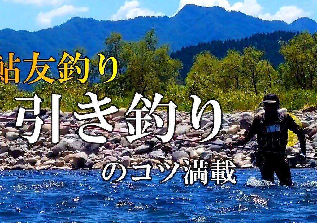 鮎釣り　引き釣りはなぜ釣れる