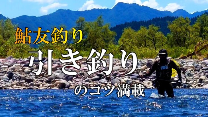 鮎釣り　引き釣りはなぜ釣れる