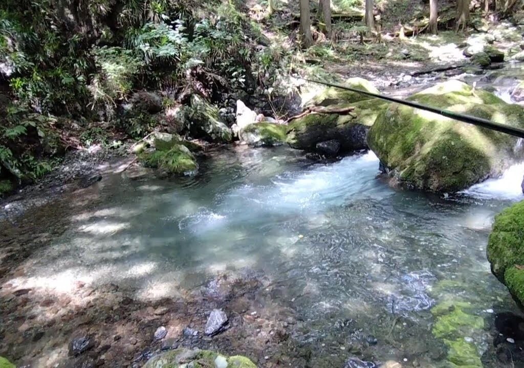 東京都大丹波川支流（ヤマメ渓流釣り、魚影が濃く、危険個所が少なく、初心者にもオススメな渓谷）
