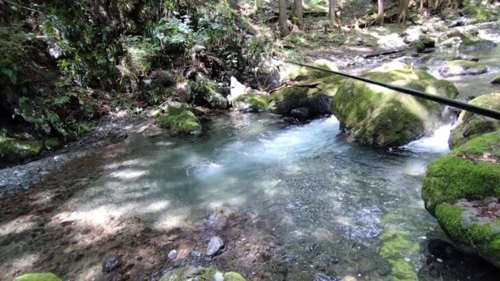 東京都大丹波川支流（ヤマメ渓流釣り、魚影が濃く、危険個所が少なく、初心者にもオススメな渓谷）
