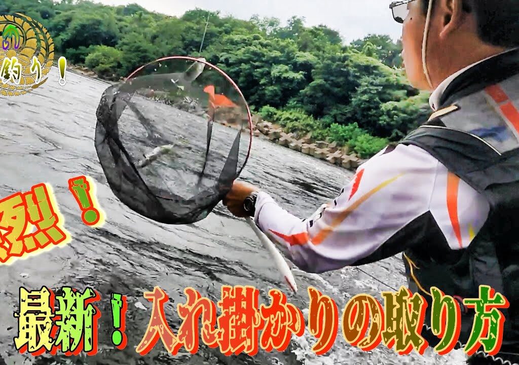 【最新入れ掛かり】強烈！天然鮎は掛かり出すとこうなる！掛かるポイントはやはり〇〇！？