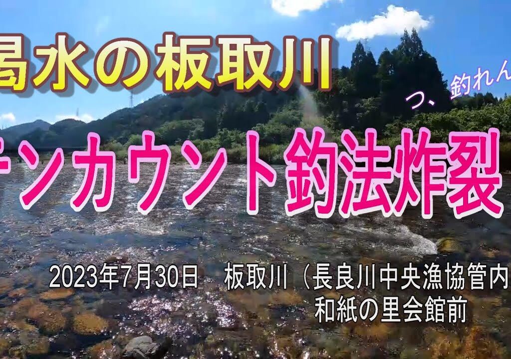 渇水の板取川で「テンカウント釣法」炸裂⁉