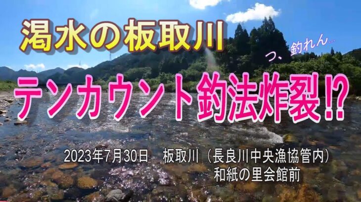 渇水の板取川で「テンカウント釣法」炸裂⁉