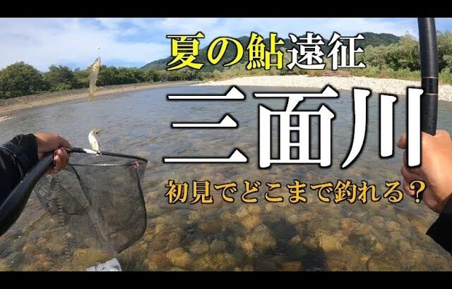 夏の鮎遠征①　三面川　初日　初見でどこまで釣れる？