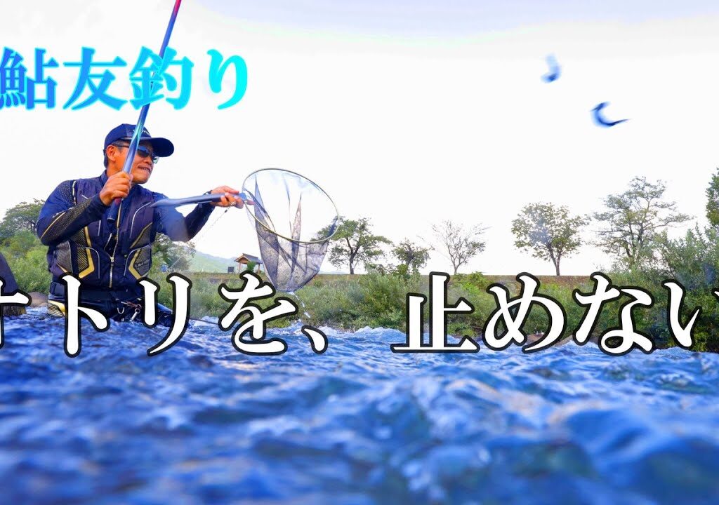 鮎釣り　盛期に効果を発揮する釣り方