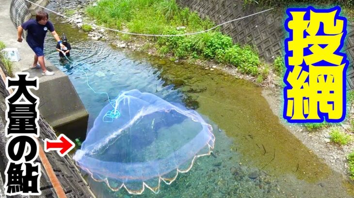 大量のアユの群れに向かって巨大な網を投げ込んでみたら・・・